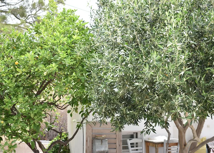 Andriani'S Guest House