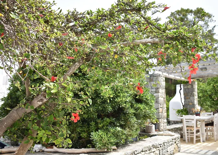 Andriani'S Guest House
